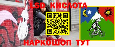 СК Донецк